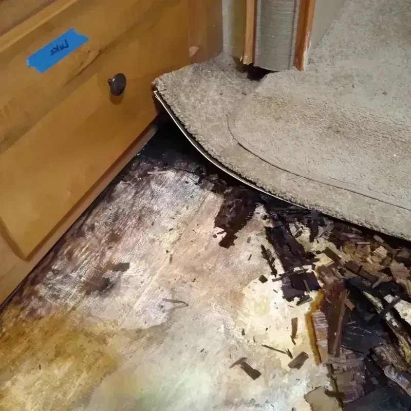 Best Wood Floor Water Damage Service in Caledonia, MS